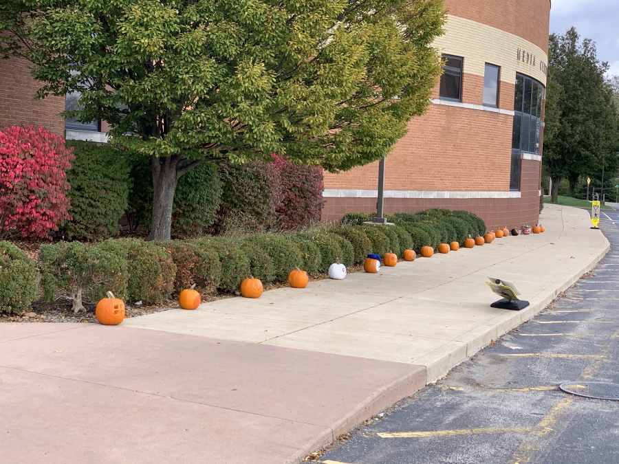 Row of pumpkins along a sidewalk