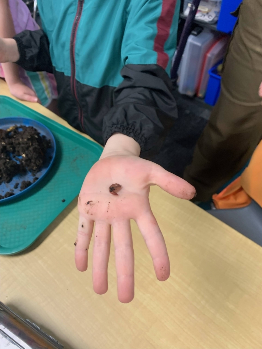 student holding worm