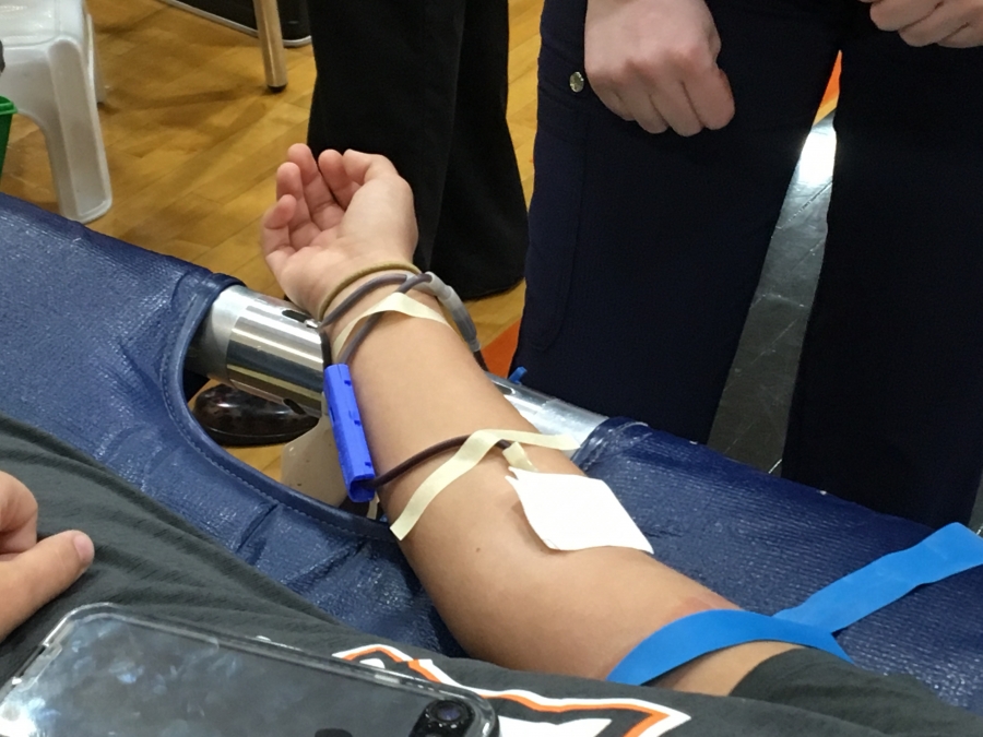 arm giving blood